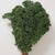 Wholesale Kale