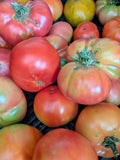 Wholesale Tomatoes
