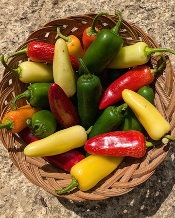 Wholesale Jalapeno Peppers