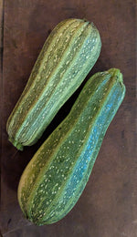 Zucchini