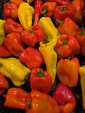 Wholesale Sweet Pepper Mix