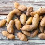 Wholesale Fingerling Potatoes