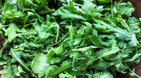 Wholesale Arugula