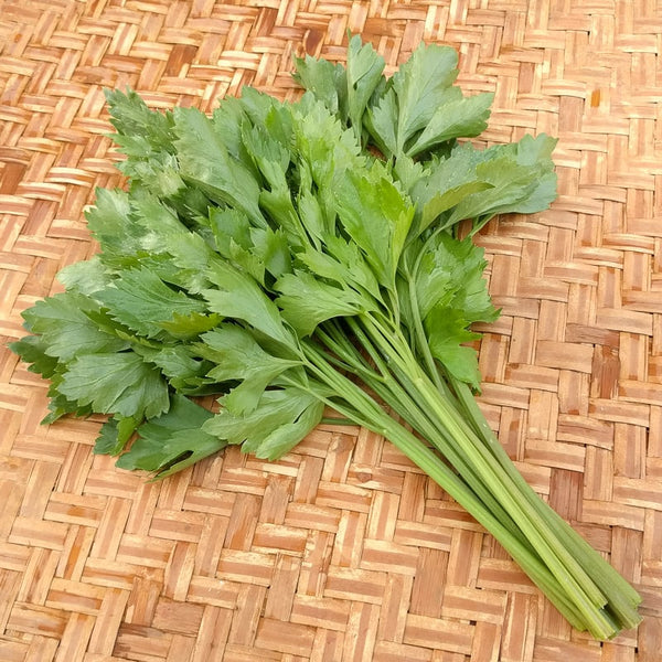 Wholesale Cutting Celery