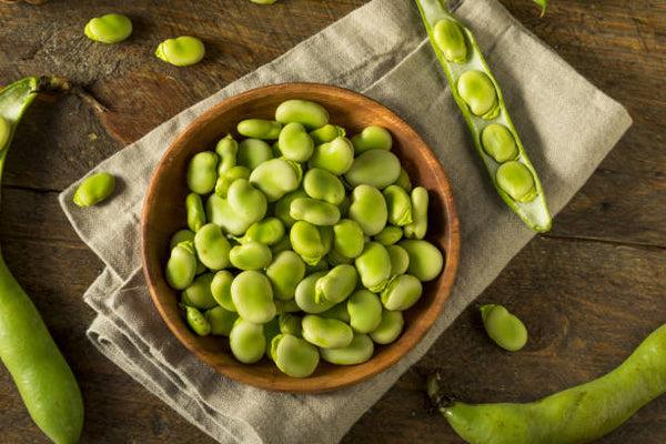 Fava (Broad) Beans