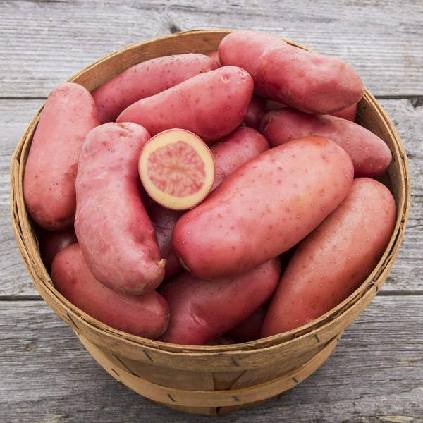 Wholesale Potatoes