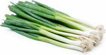 Wholesale Green Onions