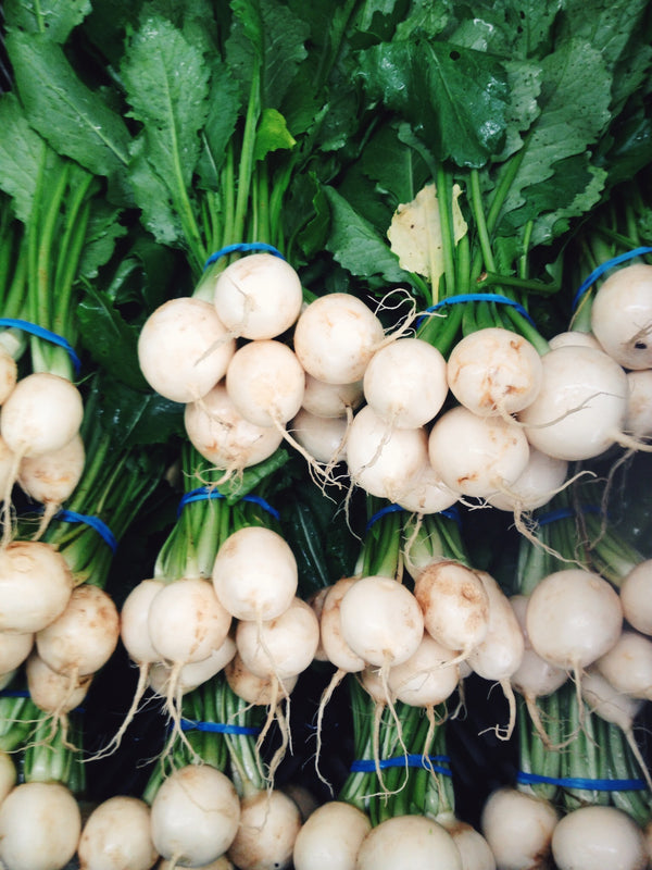Wholesale Hakuri Turnips