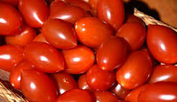 Plum Tomatoes product of Star Gazer Farm