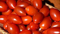 Wholesale Plum Tomatoes