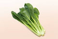 Wholesale Asian Greens