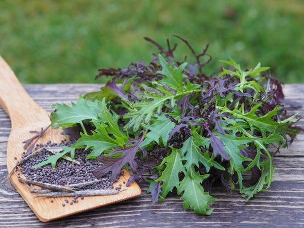 Mustard Greens