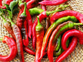 Wholesale Nardello Peppers