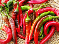 Wholesale Nardello Peppers