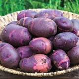 Wholesale Potatoes
