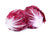 Radicchio