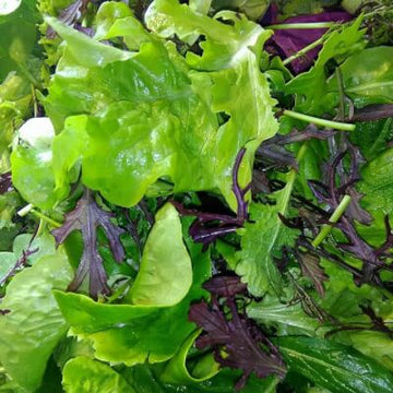 Wholesale Salad Mix
