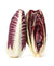 Radicchio