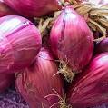 Wholesale Onions