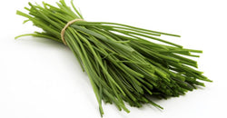 Chives