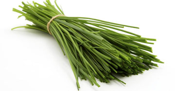 Chives Product of Stargazers Farm