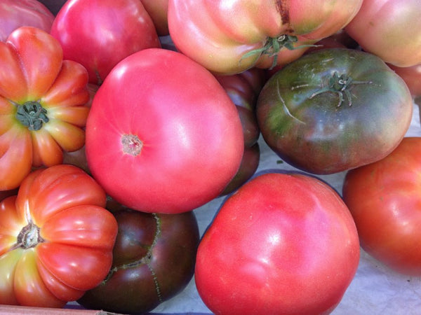 Tomatoes product of Star Gazer Farm