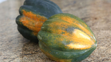 Acorn Squash from Star Gazer Farm