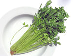 Celery