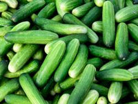 Case of Cucumbers for Pickling