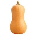 Butternut Squash from Star Gazer Farm