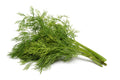 Fresh Dill