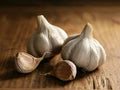 Garlic