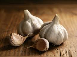 Garlic