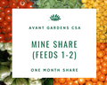 Mini Share One Month