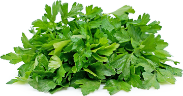 Italian Parsley