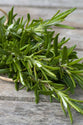 Rosemary