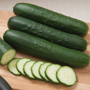 Cucumber