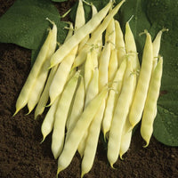 Yellow Pod Flat Beans